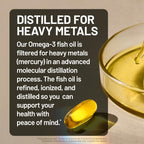 NatureWise Omega 3 Fish Oil - 500mg Omega 3 per Serving - 300mg EPA & 200mg DHA - Sustainably Sourced for Purity - Lemon Flavored - Burpless - Gluten & Soy Free, Non-GMO - 180 Softgels[6-Month Supply]