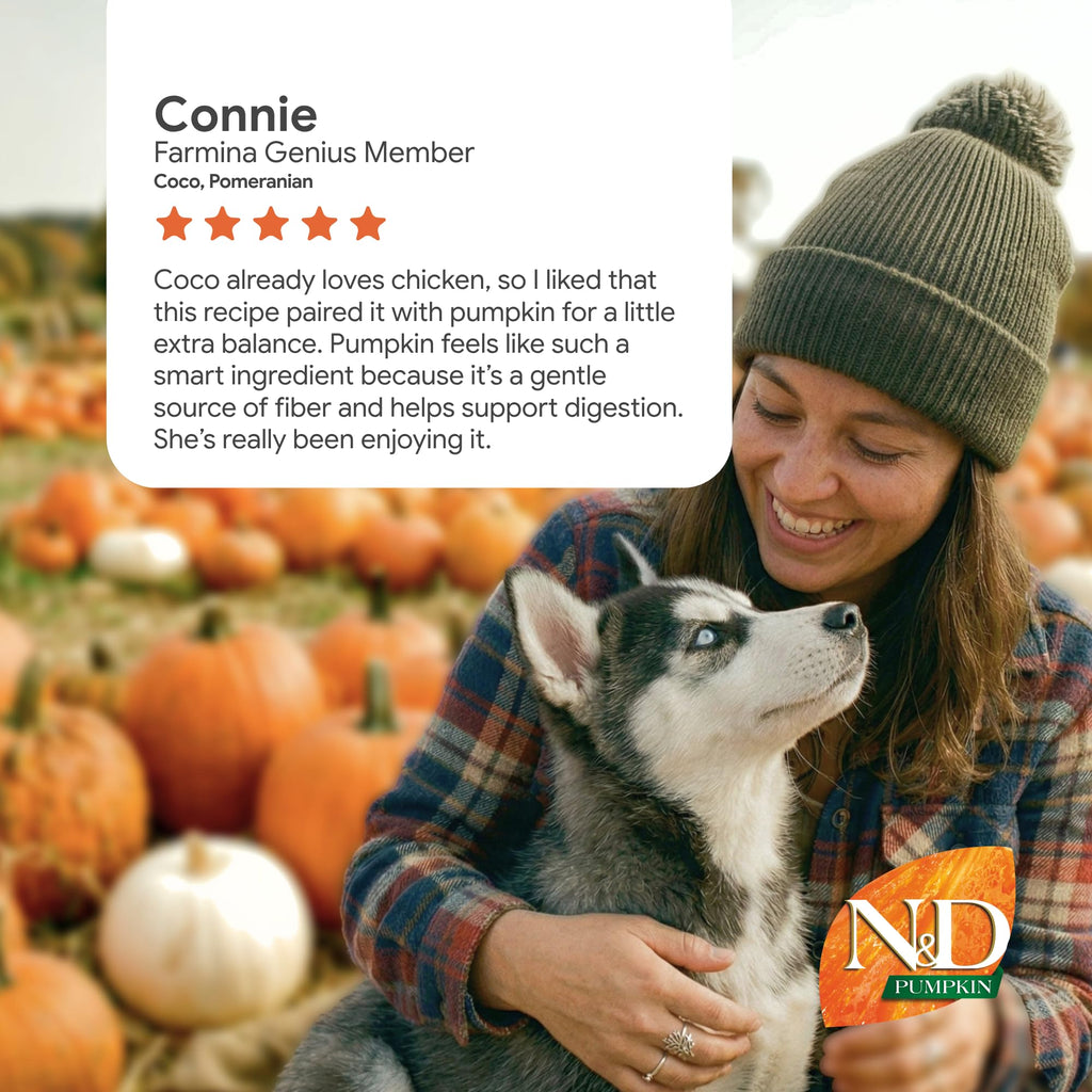 Mini Breed Adult Grain Free Pumpkin Chicken & Pomegranate Dry Dog Food by Farmina