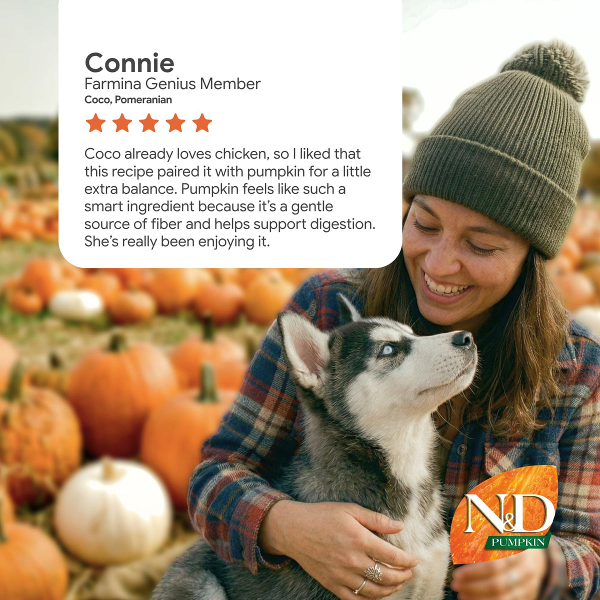 Mini Breed Adult Grain Free Pumpkin Chicken & Pomegranate Dry Dog Food by Farmina