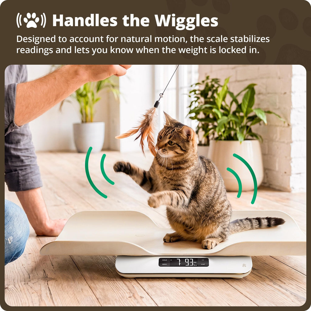 Greater Goods Wiggle-Proof Digital Pet Scale for Cats, Dogs & Small Animals