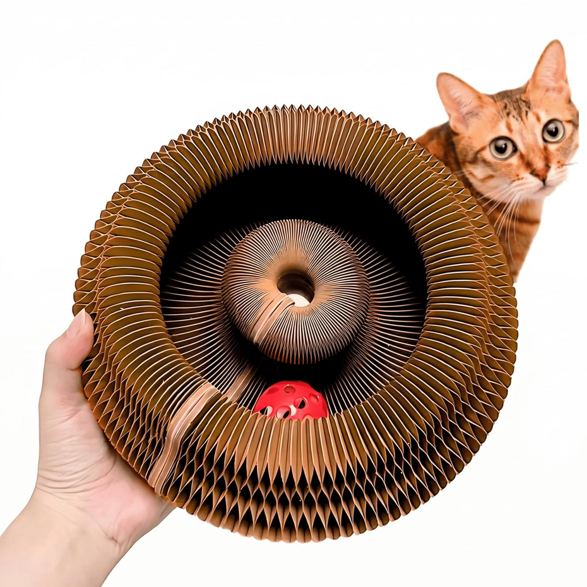 KITTY KURLZ Interactive Cat Toy & Cardboard Cat Scratcher