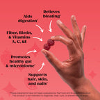 Bellway Super Fiber + Beauty, Fiber Gummies with Biotin, Sugar-Free, 60 Ct | 5g Prebiotic Fiber Supplement with Biotin & Vitamins A, C & E for Digestive Health, Skin, Hair & Nails