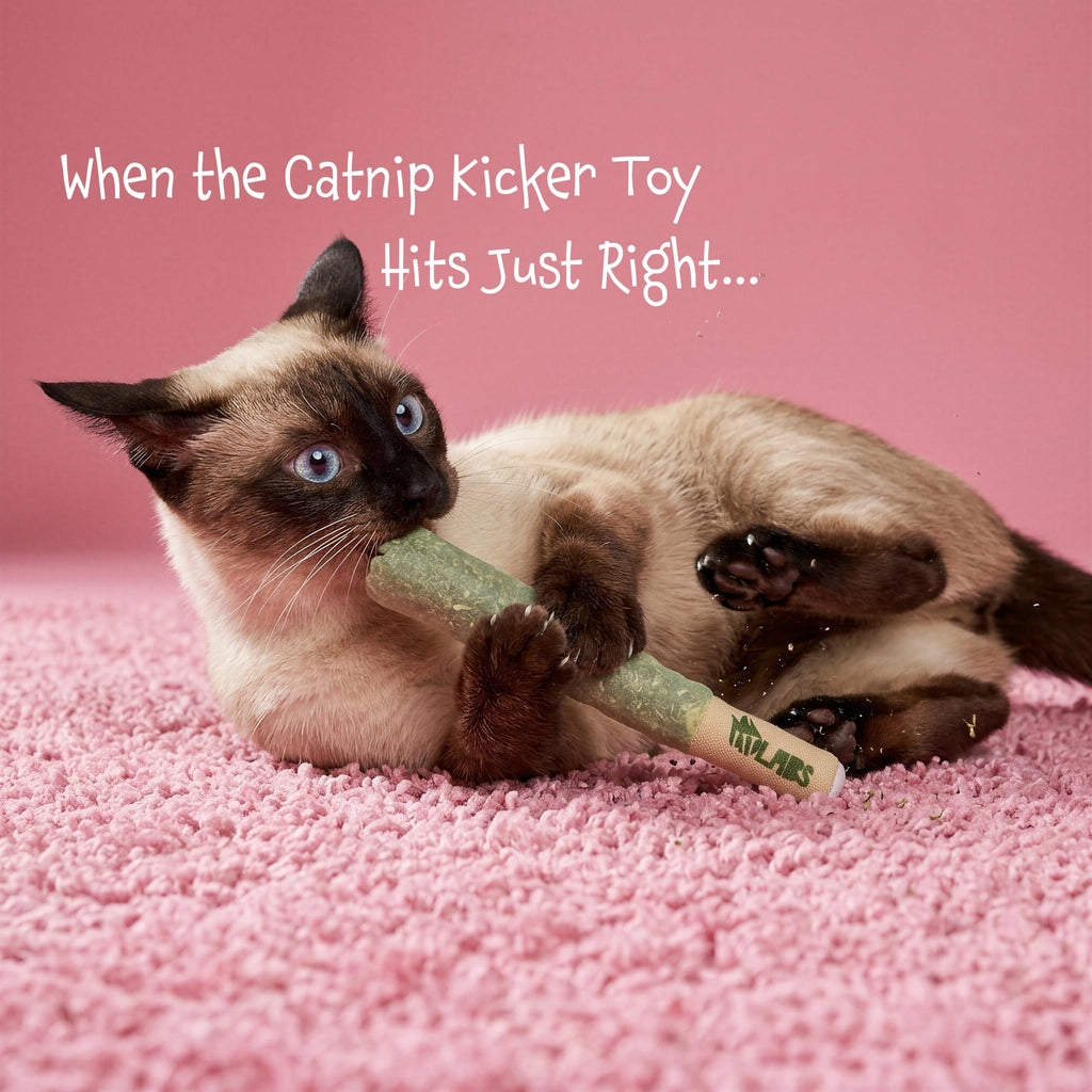 LIT LABS Cat Doobie 3 Pack Catnip Toys for Cats, Funny Cat Toys, Safe Kitten Teething Chew and Kicker Toys, Stress-Relieving Indoor Cat Gifts that Hit Different