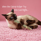 LIT LABS Cat Doobie 3 Pack Catnip Toys for Cats, Funny Cat Toys, Safe Kitten Teething Chew and Kicker Toys, Stress-Relieving Indoor Cat Gifts that Hit Different