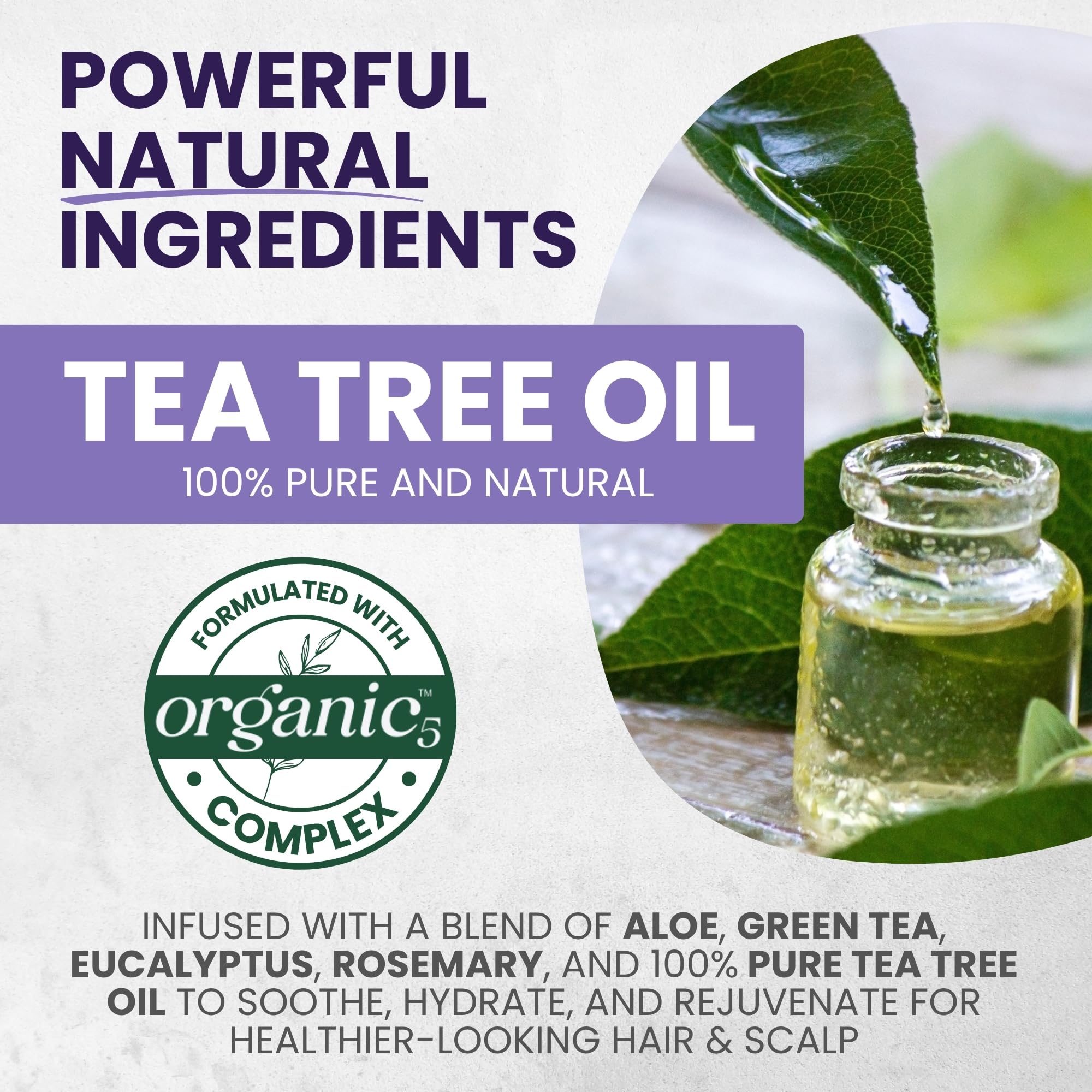 Tea Tree Purple Shampoo and Conditioner Set for Blonde, Silver & Gray Hair, Anti-Brass Toning & Brightening, Refreshes and Hydrates Scalp & Hair, Sulfate-Free Botanical Formula