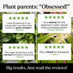 Big Green Leaves Indoor Plant Food – 4X Concentrated Fertilizer, 1 lb