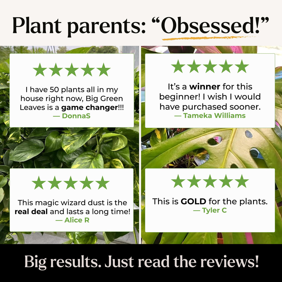 Big Green Leaves Indoor Plant Food – 4X Concentrated Fertilizer, 1 lb