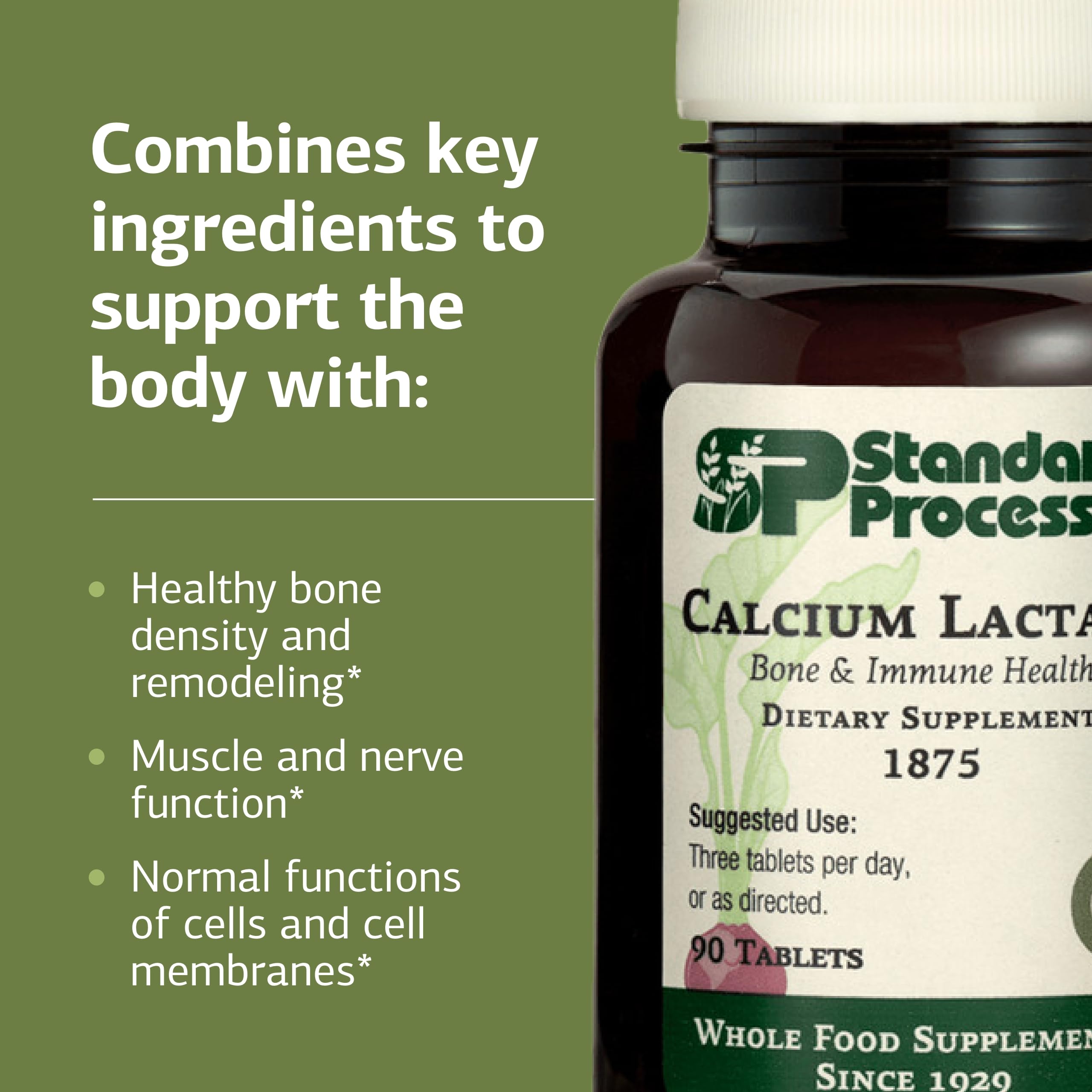 Standard Process Calcium Lactate, Bone & Immune Supplement, 90 Tablets | Bone and Immune Health Supplement, Vegan, Gluten-Free, Non-Dairy, Non-Soy and Non-Grain, Bone, Joint and Health Support