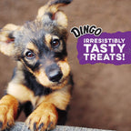Dingo Delights Rawhide-Free Dog Treat with Real Chicken, 9 Count