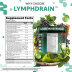 Organic Lymphatic Drainage Supplements | Elderberry Bladderwrack Burdock Root Black Seed Oil Spirulina Sea Moss Ashwagandha Chlorella Amla Beet Moringa Chlorophyll Lymph System Capsules By Clean Nutra