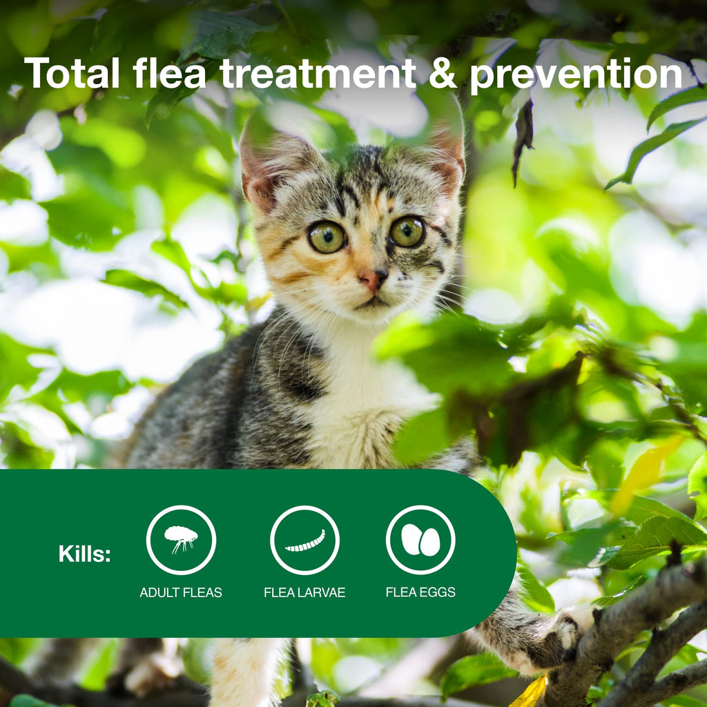 Advantage II Kitten Topical Flea Treatment & Prevention, 2ct