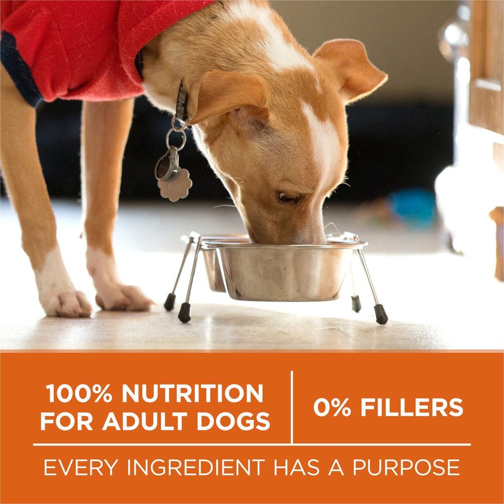 Purina ONE Plus Healthy Weight Dry Dog Food, Real Turkey, 16.5 lb Bag