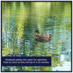 Natural Waterscapes Waterfowl Feed (5 lb) Floating Duck Food | for Wild Ducks, Pet Ducks, Geese, Swans