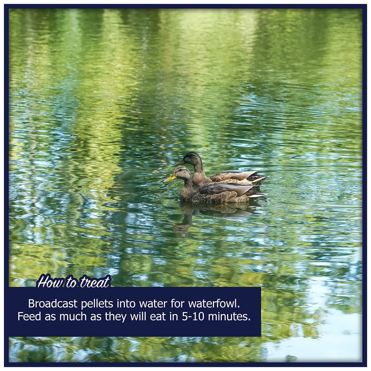 Natural Waterscapes Waterfowl Feed (5 lb) Floating Duck Food | for Wild Ducks, Pet Ducks, Geese, Swans