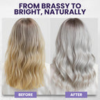 Tea Tree Purple Shampoo and Conditioner Set for Blonde, Silver & Gray Hair, Anti-Brass Toning & Brightening, Refreshes and Hydrates Scalp & Hair, Sulfate-Free Botanical Formula