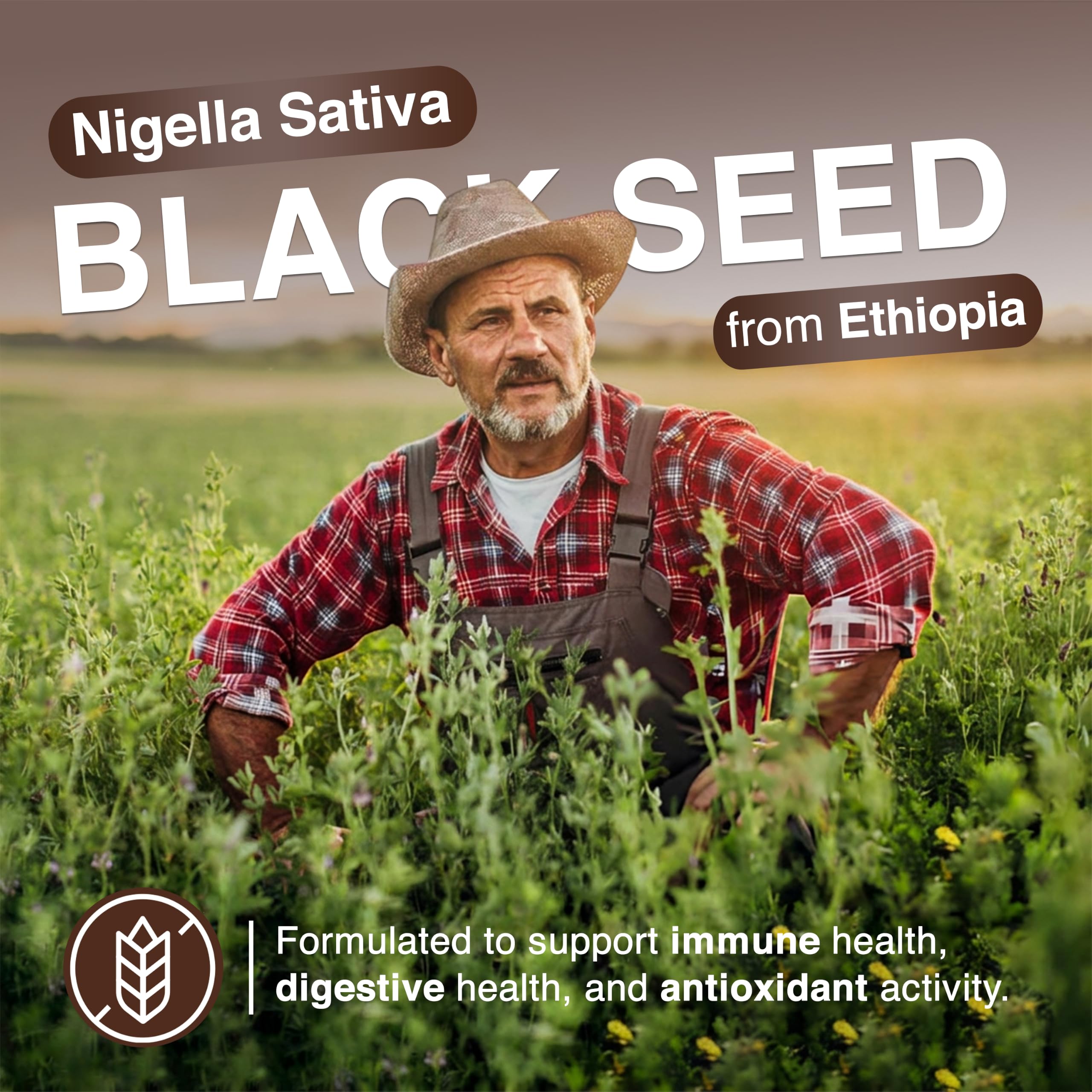 Resilia Ethiopian Black Seed Softgels 1000mg Per Serving | Premium Nigella Sativa Seed Oil Supplement – Digestive & Immune Support Formula – Easy to Swallow Soft Capsules (60 Count)
