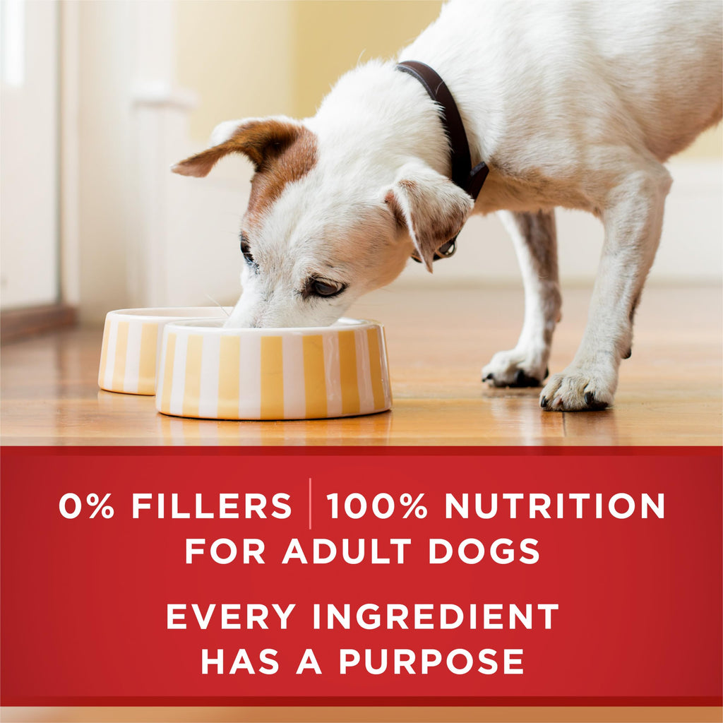 Purina ONE Classic Ground Beef & Rice Wet Dog Food, (12) 13 oz Cans
