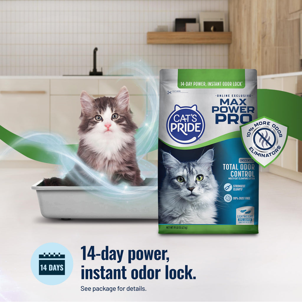 Cat's Pride Max Power Pro, Lightweight, Unscented Clumping Litter 19lb