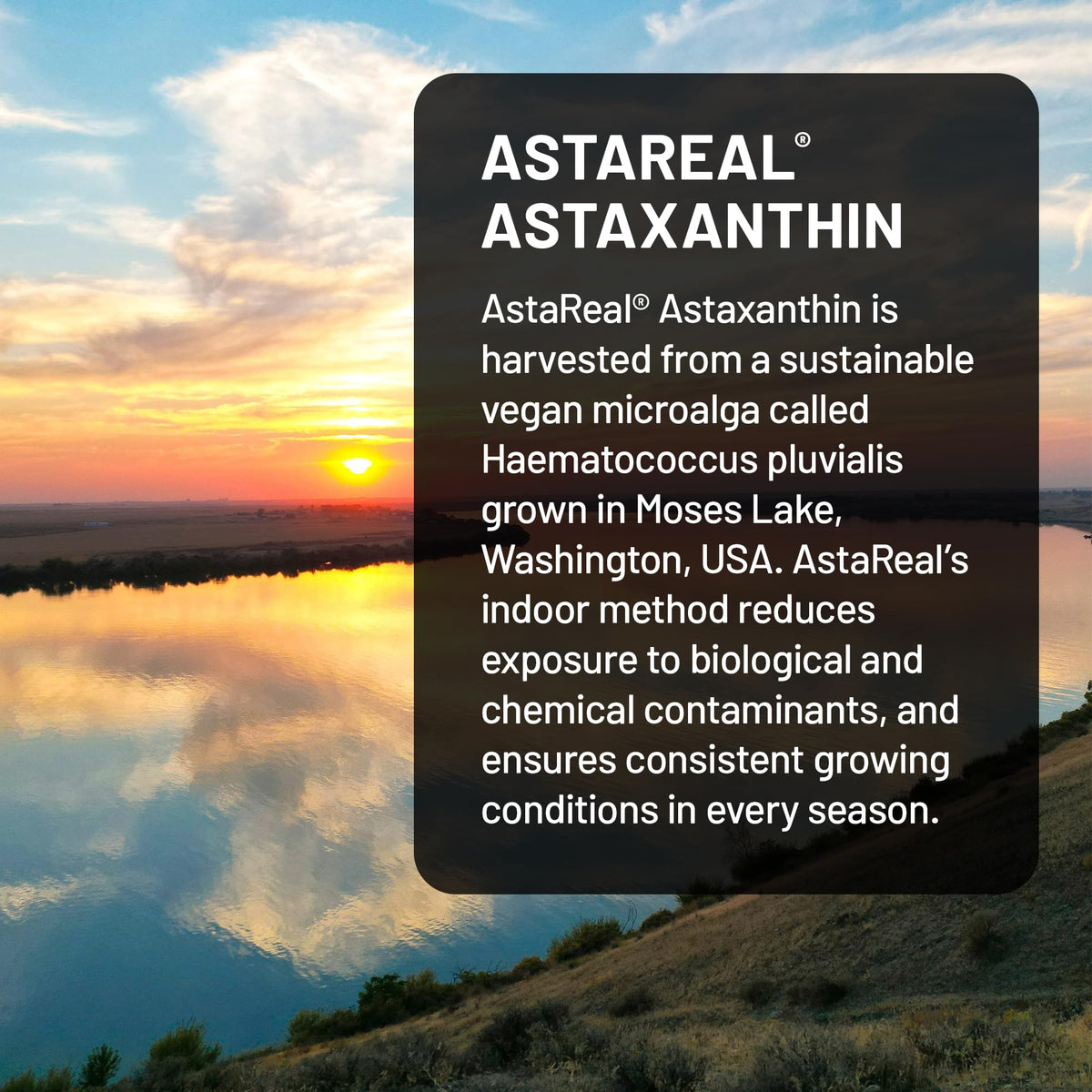 NatureWise Triple Strength Astaxanthin 12mg with AstaReal® - Vegan Antioxidant Supplement with Organic Coconut Oil - NSF Certified Gluten Free, 60 Softgels[60 Day Supply]