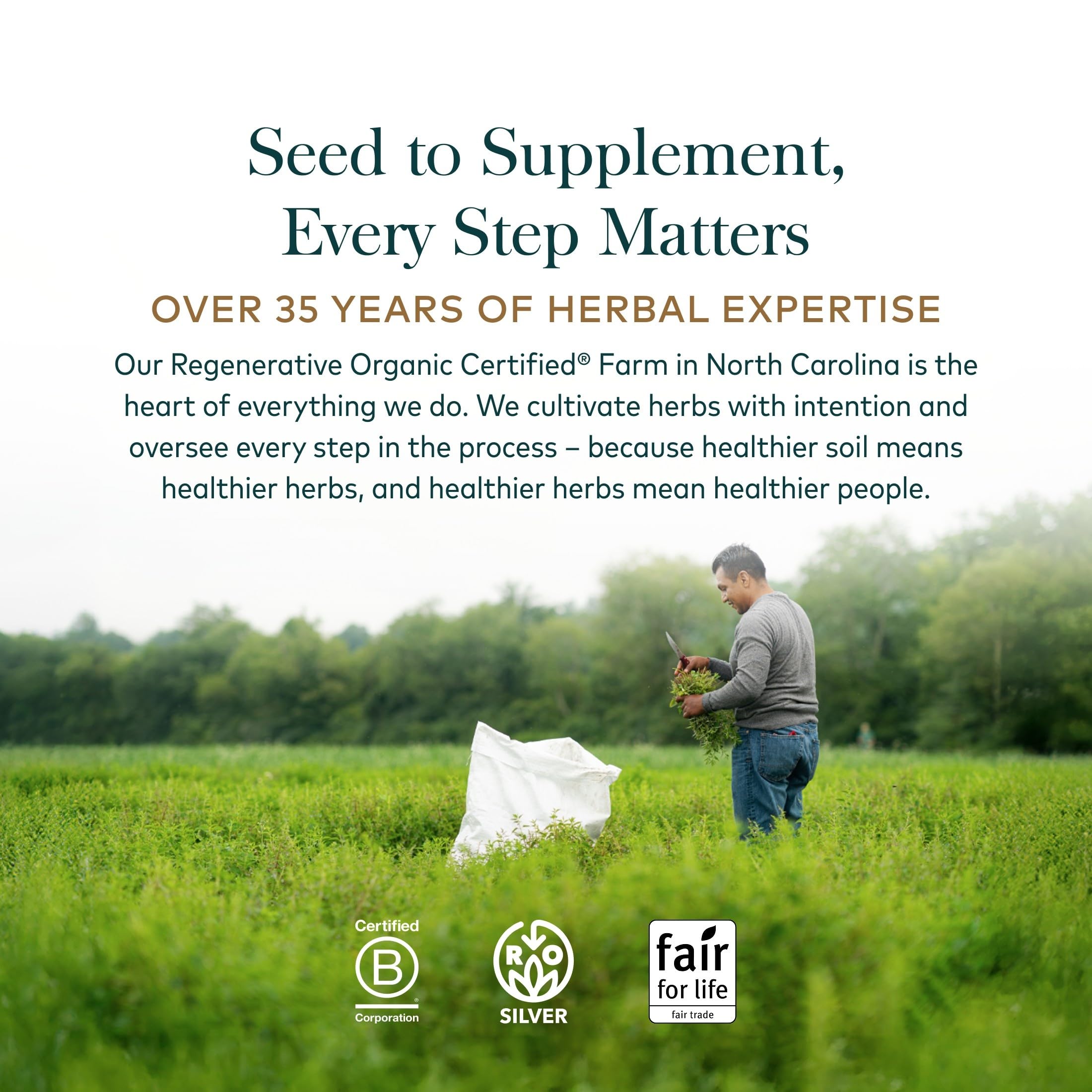 Gaia Herbs Ashwagandha Root 350 mg - Supports Balanced Energy Levels & Positive Outlook*- Supports Healthy Cortisol Balance* - 60 Vegan Liquid Phyto-Caps (30 Servings)