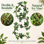 HERCOCCI Crested Gecko Tank Accessories, Reptile Hanging Plants Vines with Natural Coconut Shell Hideout & Climbing Ladder Decor for Hermit Crab Lizard Leopard Gecko Chameleon Snake Terrarium Decor