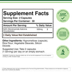 NAD+ 500mg, Energy + Healthy Aging, 95% Pure Single-Ingredient, 60 Capsules | Clean Daily Energy, Supports Anti Aging + Cell Regeneration, Real Single-Ingredient NAD+, Vegan + Non-GMO, 30-Day Supply