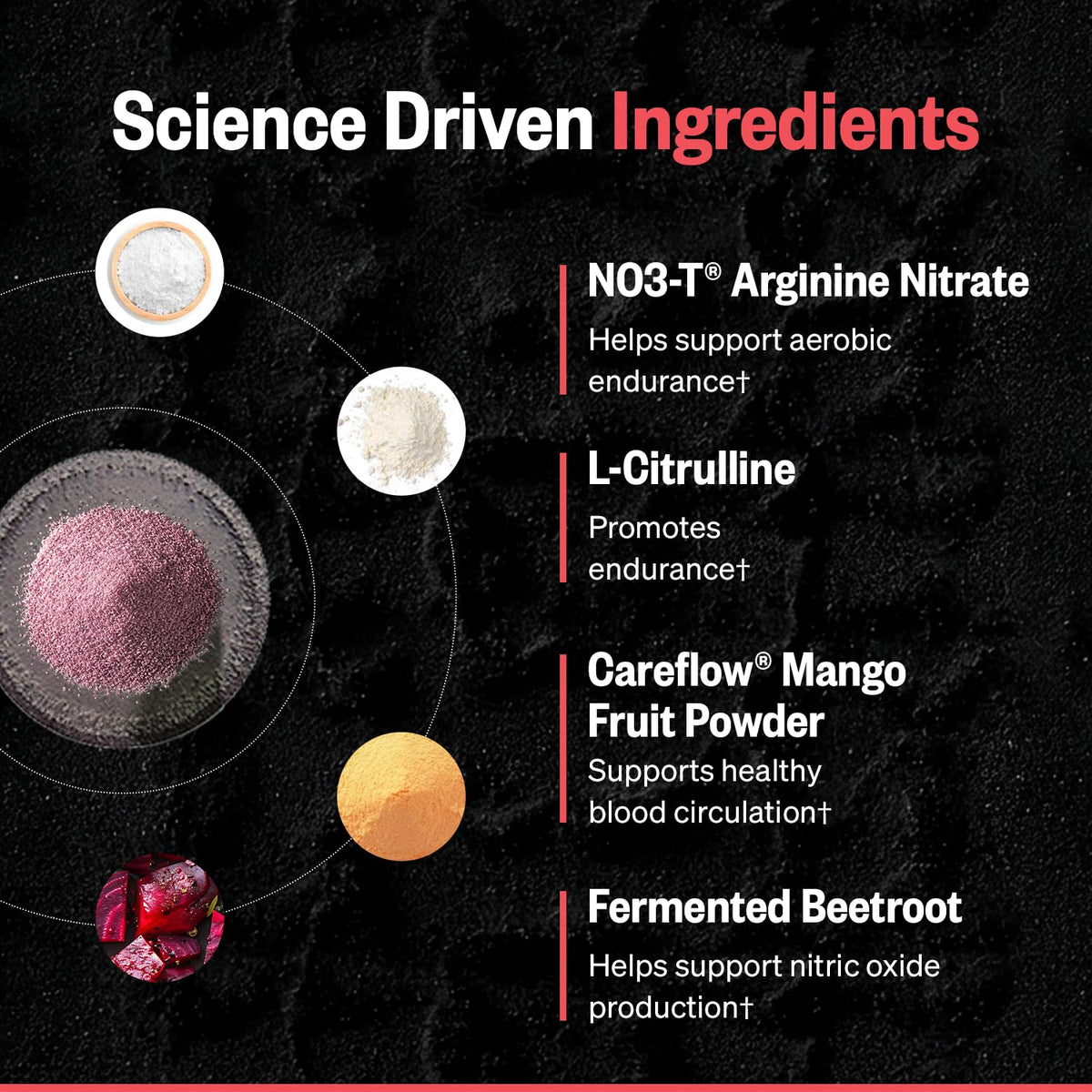 ONNIT Total Nitric Oxide Pre-Workout Powder, Harvest Fruit Punch, 20 SRV