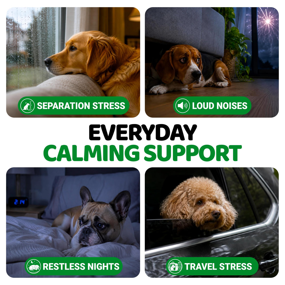 Hemp Calming Chews for Dogs - 170 Treats - Advanced Dog Calming Chews