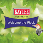 Buy now Kaytee Woodpecker Seed Cake, Wild Bird Food, 1.85 Pounds at indiglob india