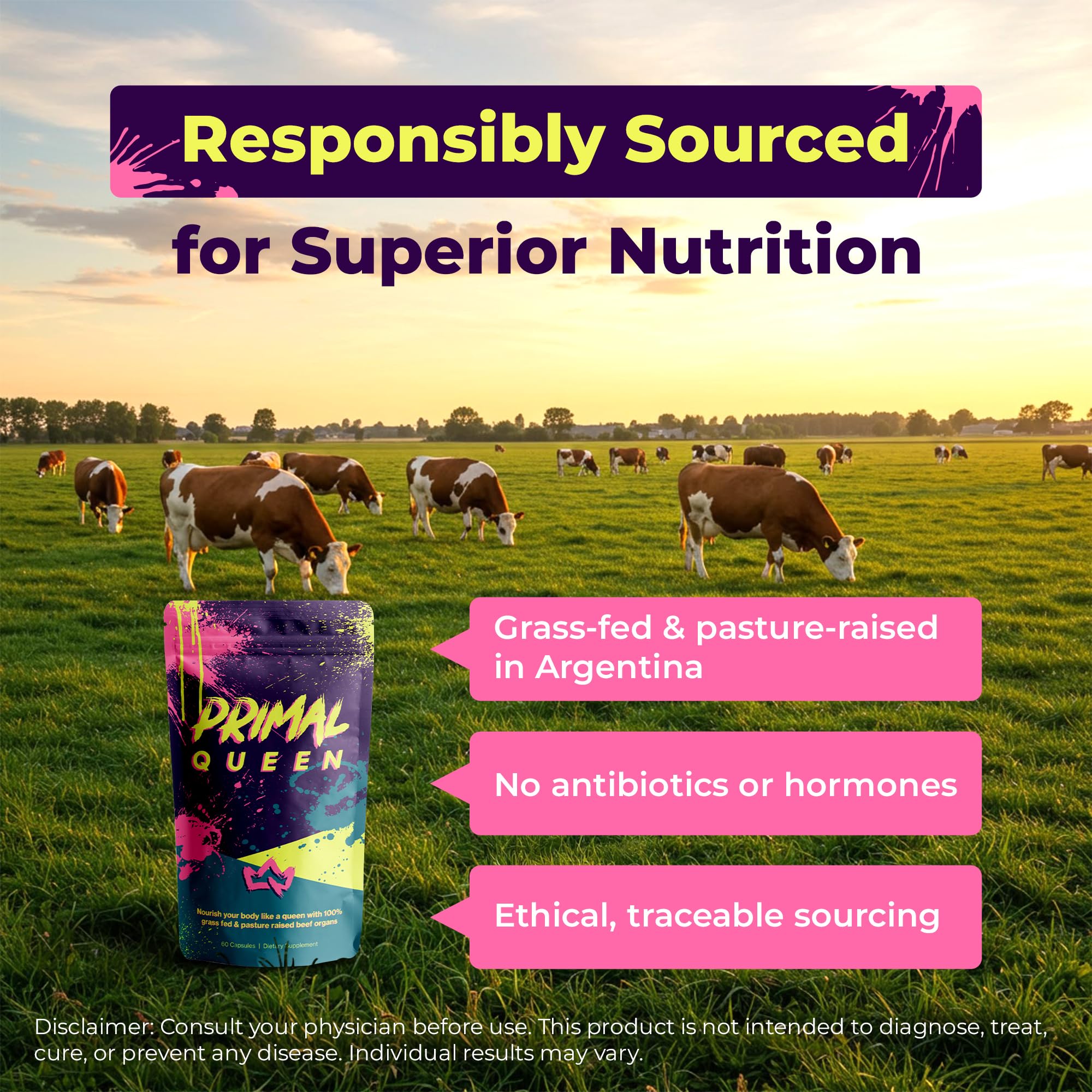 Primal Queen Beef Organ Superfood, Grass-Fed Liver Kidney Heart for Women | Female-Optimized Blend of 6 Pasture-Raised Organs for Hormone Balance, Energy and Vitality; 3rd-Party Tested