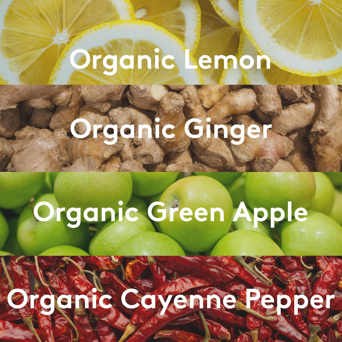 Sol Ti, Supershot Ginger Single Organic, 2.1 Fl Oz