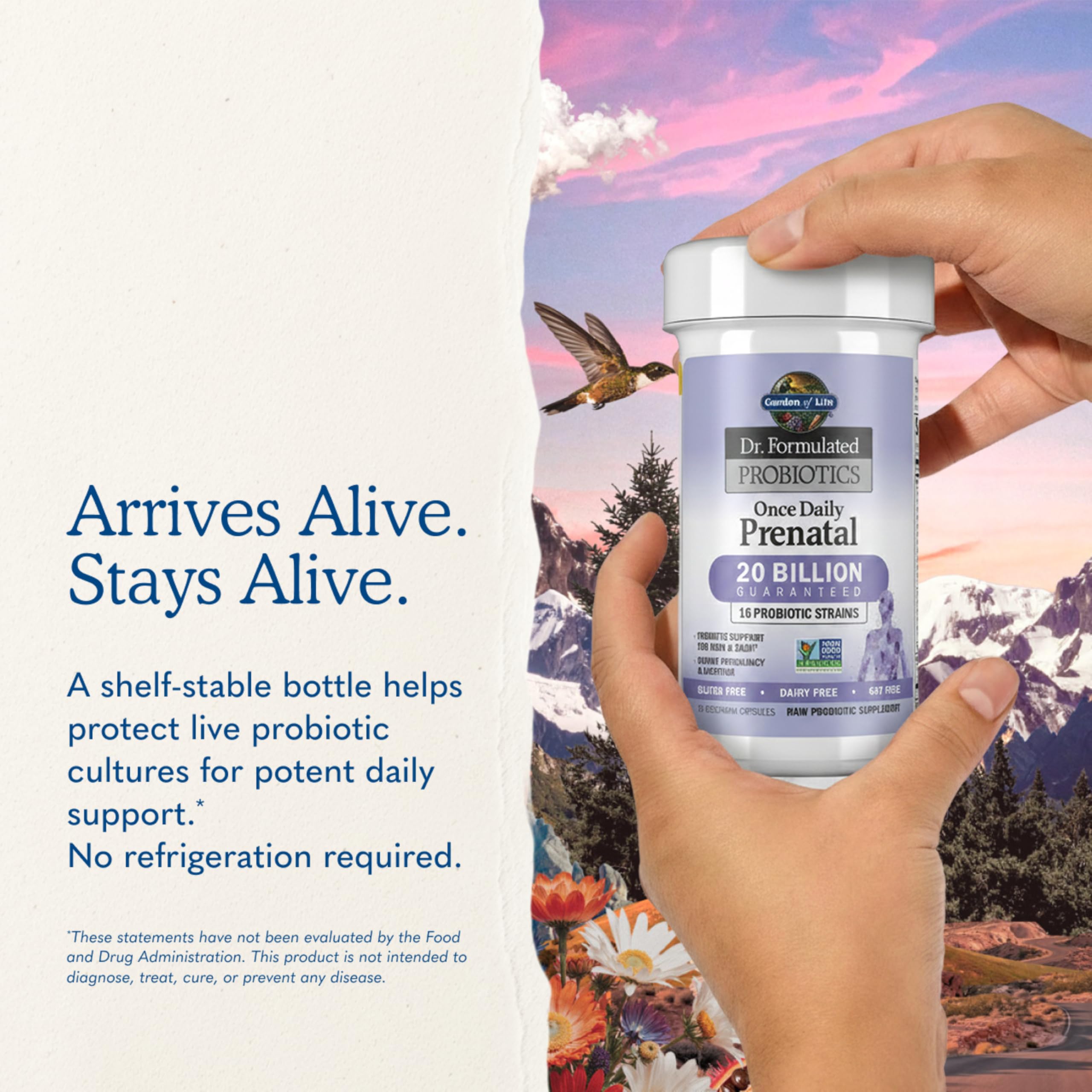 Garden of Life Dr. Formulated Probiotics Once Daily Prenatal - Acidophilus and Bifidobacteria Probiotic Support for Mom and Baby – Shelf Stable - Gluten, Dairy, and Soy-Free - 30 Vegetarian Capsules