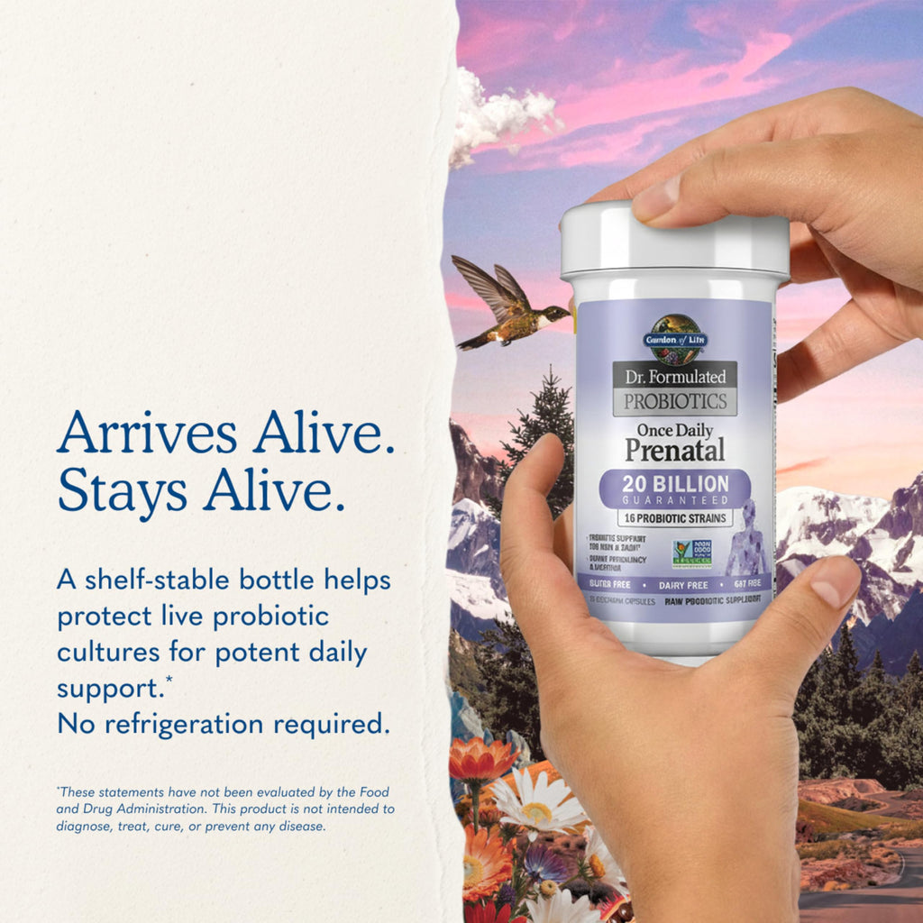 Garden of Life Dr. Formulated Probiotics Once Daily Prenatal - Acidophilus and Bifidobacteria Probiotic Support for Mom and Baby – Shelf Stable - Gluten, Dairy, and Soy-Free - 30 Vegetarian Capsules