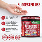 Clean Nutra Berberine and Ceylon Cinnamon Supplement Bitter Melon Glucomannan Gymnema Sylvestre Chromium Moringa Milk Thistle Turmeric Apple Cider Vinegar Digestive Enzymes Inositol Pills 90 Capsules