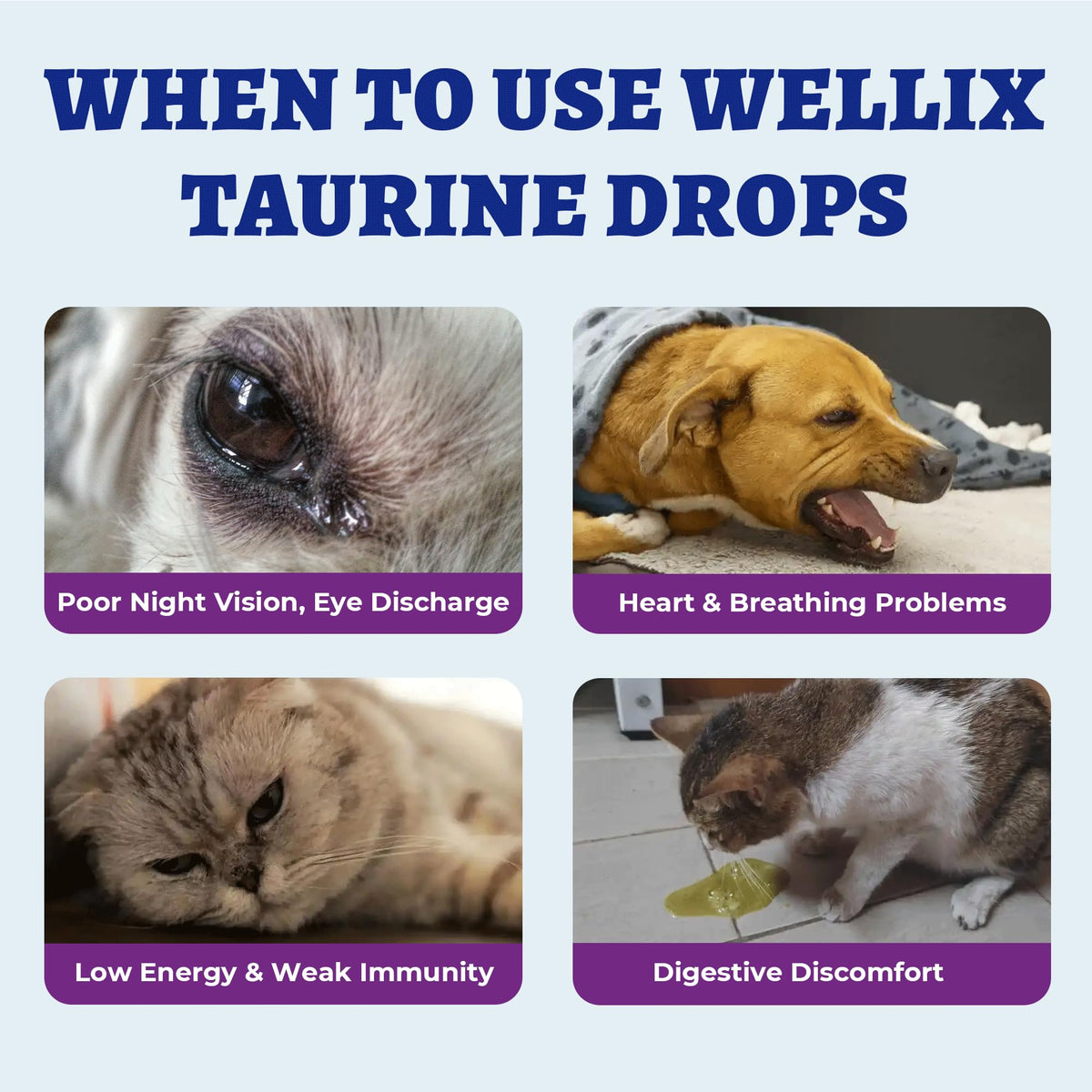 Wellix Liquid Taurine Drops for Dogs &Cats, Supports Heart & Vision 4 fl oz