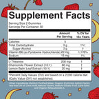 MARYRUTH'S Melatonin Free Sleep Gummies, L Theanine, Sugar Free, 60 Count | L Theanine, Lemon Balm Leaf, Chamomile, Vitamin B6, 60 Count