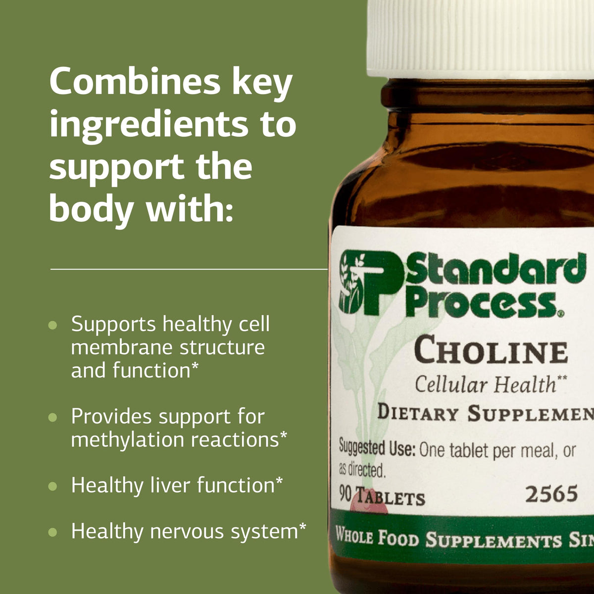 Standard Process Choline, Fat Metabolism & Liver Support, 90 Tablets