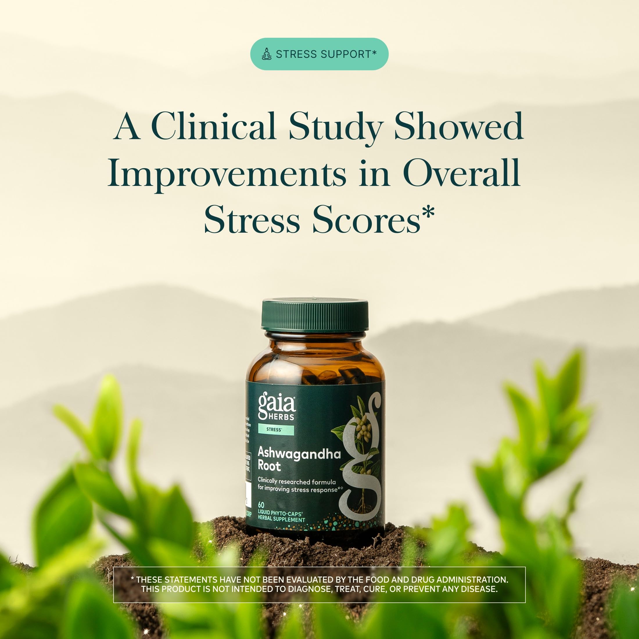 Gaia Herbs Ashwagandha Root 350 mg - Supports Balanced Energy Levels & Positive Outlook*- Supports Healthy Cortisol Balance* - 60 Vegan Liquid Phyto-Caps (30 Servings)
