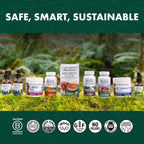 Buy now Host Defense Chaga Extract - Immune System Support Supplement - Chaga Mushroom for Antioxidant Activity Support - Liquid Dietary Mushroom Supplement - 2 fl oz (60 Servings)* at indiglob india