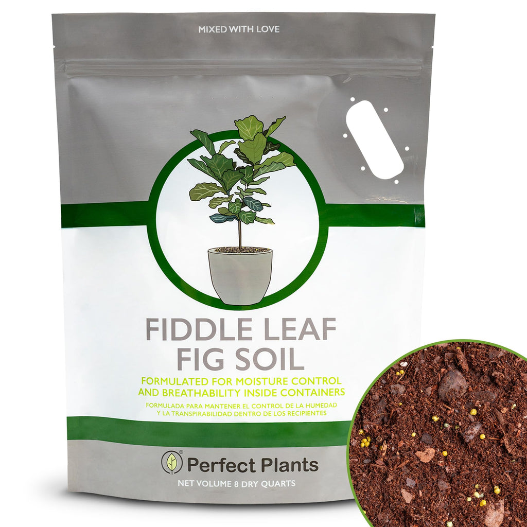Perfect Plants Fiddle Leaf Fig Soil, 8 qt, Coconut Coir Potting Mix