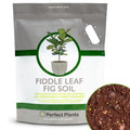 Perfect Plants Fiddle Leaf Fig Soil, 8 qt, Coconut Coir Potting Mix