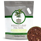 Perfect Plants Fiddle Leaf Fig Soil, 8 qt, Coconut Coir Potting Mix