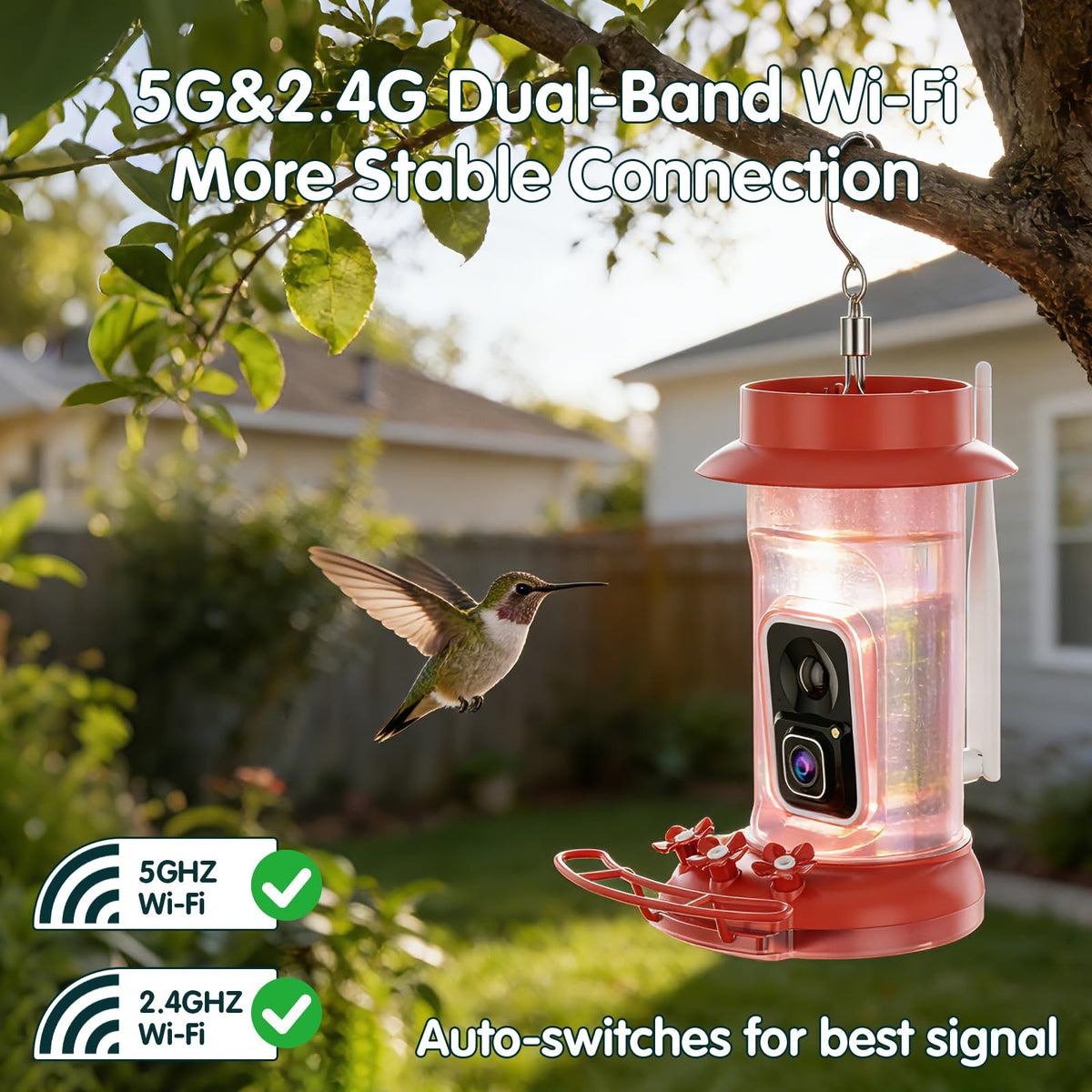 4K Hummingbird Feeder with Camera,No Subscription,Solar Powered