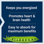 Life Extension BioActive Complete B-Complex, 60 Vegetarian Capsules | Complete B Complex for Heart, Brain & Nerve Support with Healthy Energy & Metabolism in Vegetarian Capsules