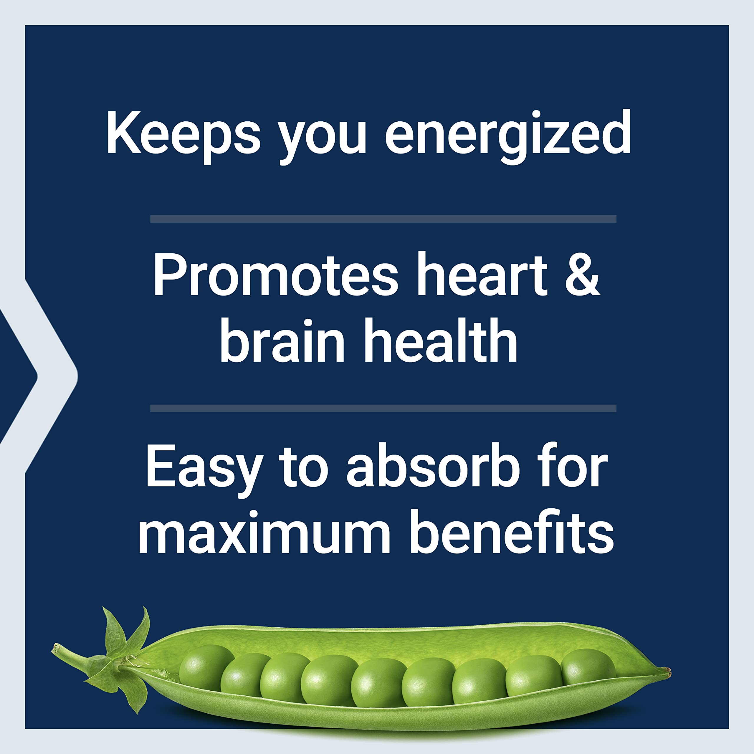 Life Extension BioActive Complete B-Complex, 60 Vegetarian Capsules | Complete B Complex for Heart, Brain & Nerve Support with Healthy Energy & Metabolism in Vegetarian Capsules