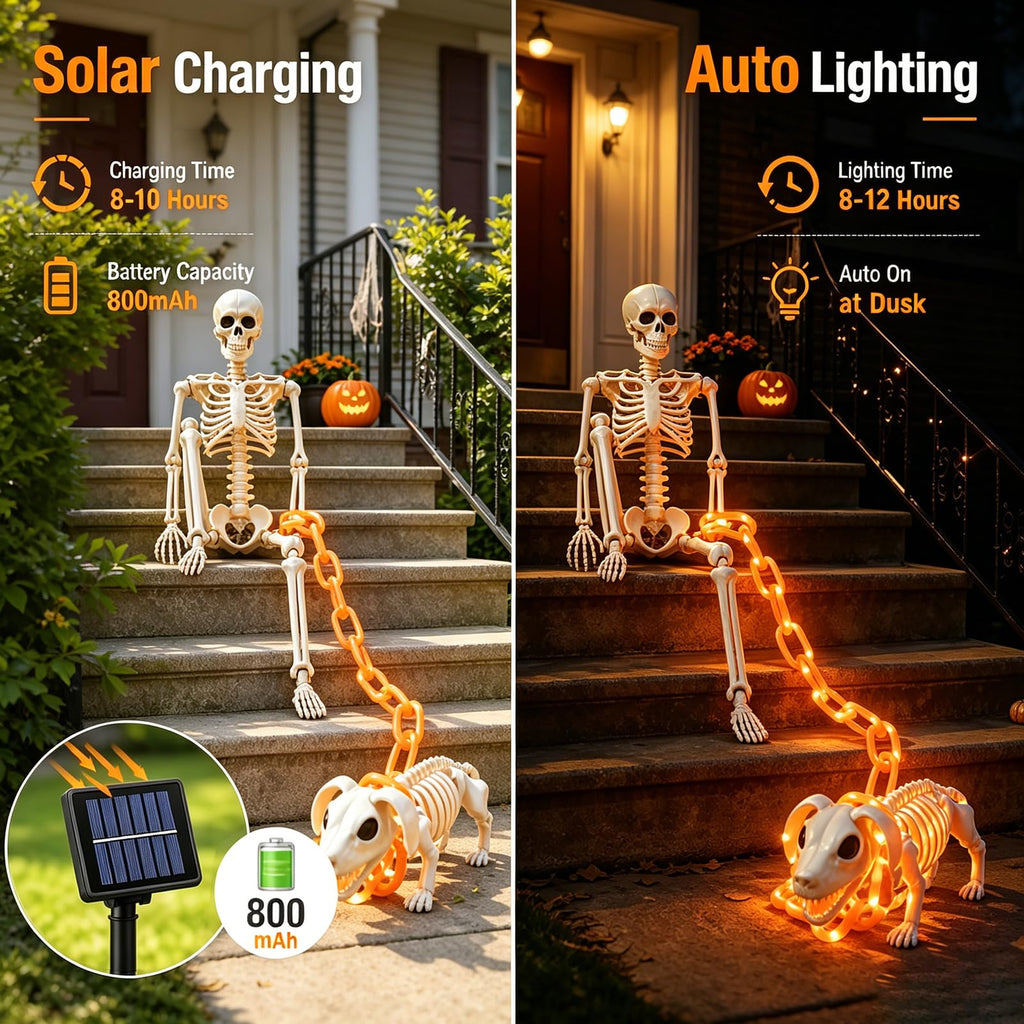 3Ft Skeleton & Dog Skeleton with Light Chain, Outdoor Halloween Decorations