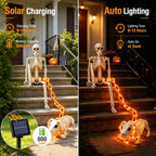 3Ft Skeleton & Dog Skeleton with Light Chain, Outdoor Halloween Decorations