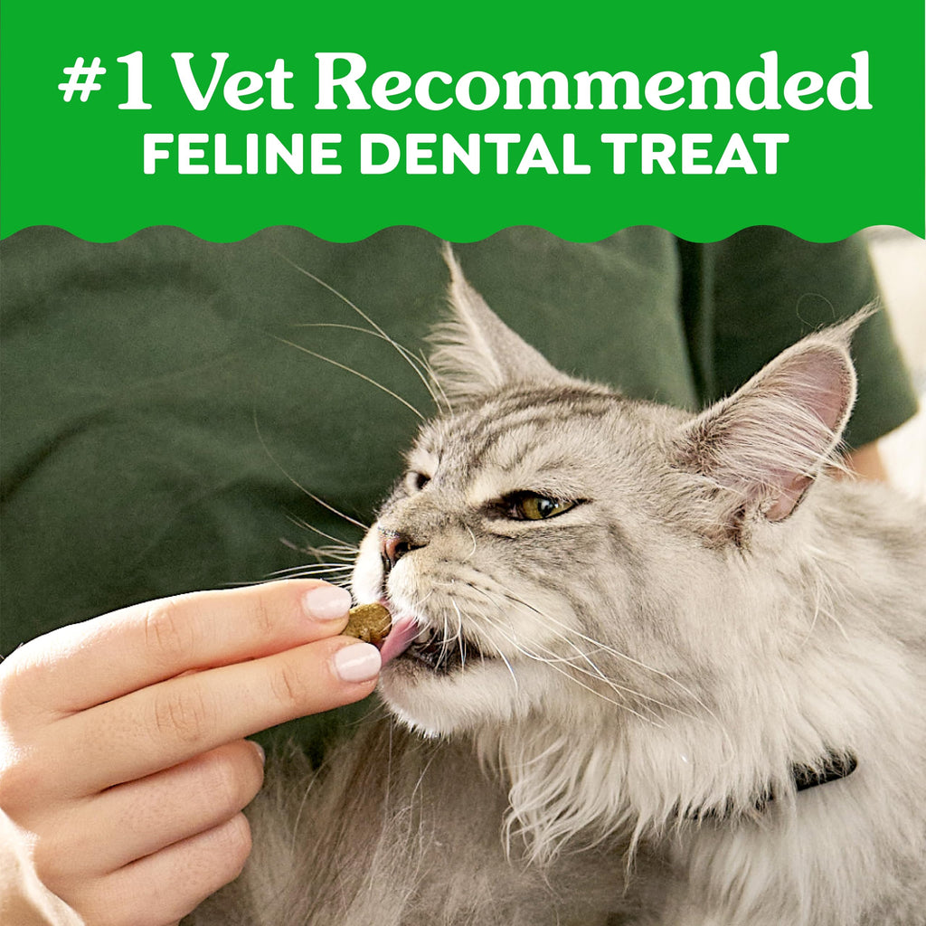Buy now Greenies Feline Veterinarian-Recommended Adult Natural Dental Cat Treats, Catnip Flavor, 21 oz. Tub at indiglob india