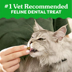 Buy now Greenies Feline Veterinarian-Recommended Adult Natural Dental Cat Treats, Catnip Flavor, 21 oz. Tub at indiglob india
