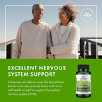 Buy now Swanson Lion's Mane Mushroom Capsules - 500 mg Each, 60 Capsules - Herbal Supplement Supporting Cognitive Function at indiglob india